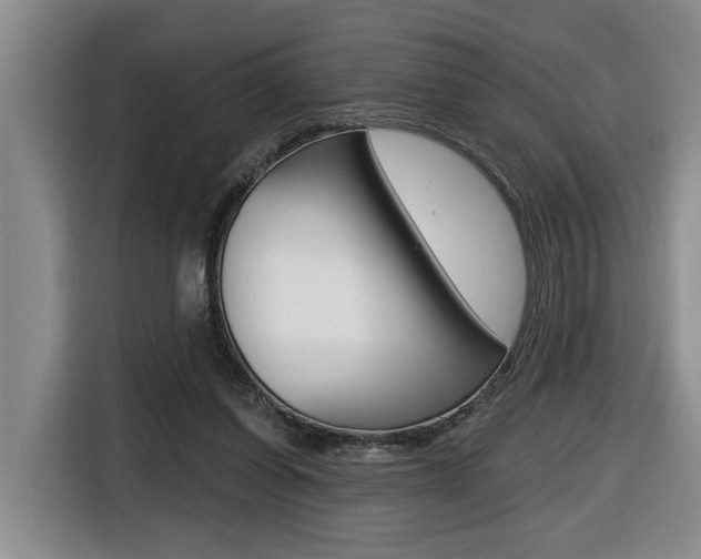 X0000116510254200912090953