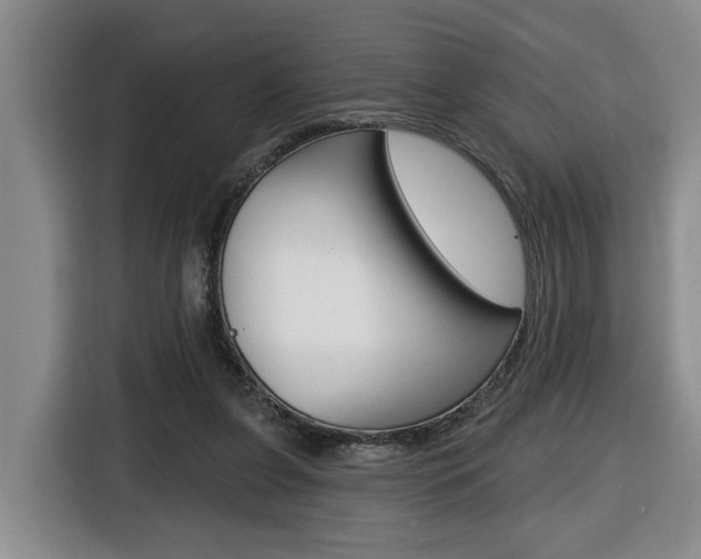 X0000116510255200912090953