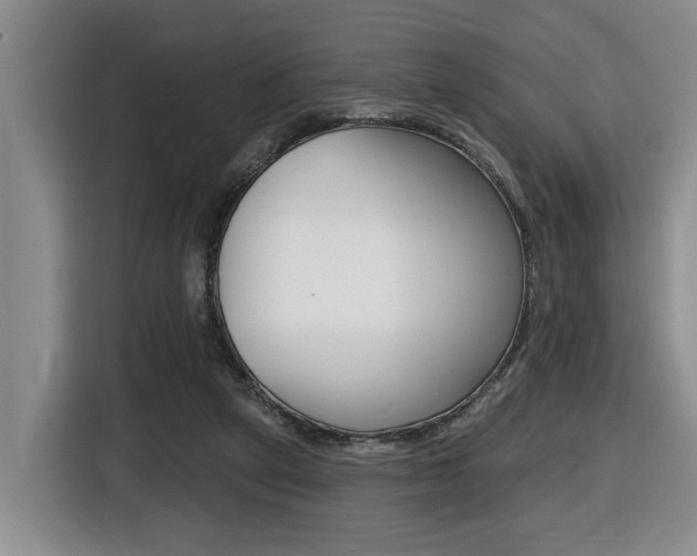 X0000116510257200912090953