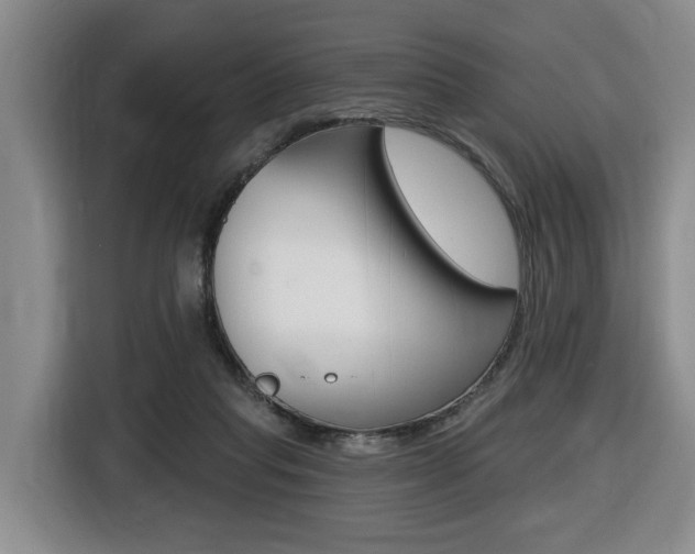 X0000116510261200912090953