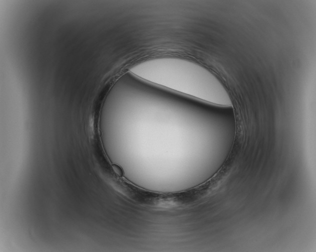 X0000116510262200912090953