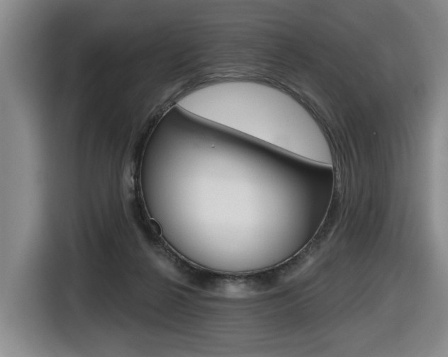 X0000116510264200912090953
