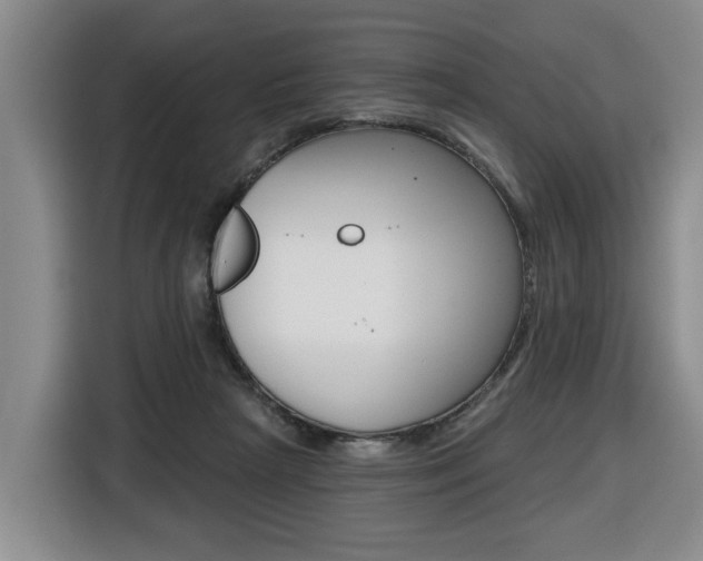 X0000116510265200912090953