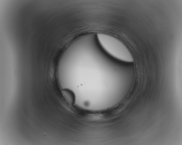 X0000116510266200912090953