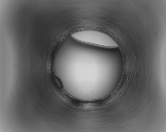 X0000116510268200912090953