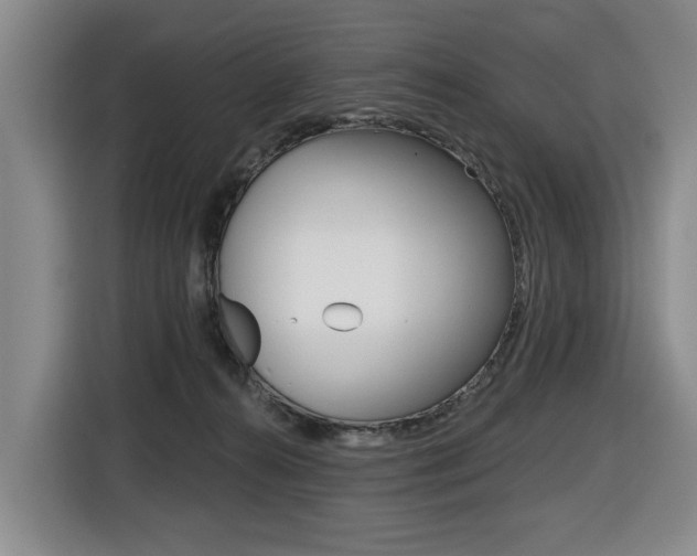 X0000116510272200912090953