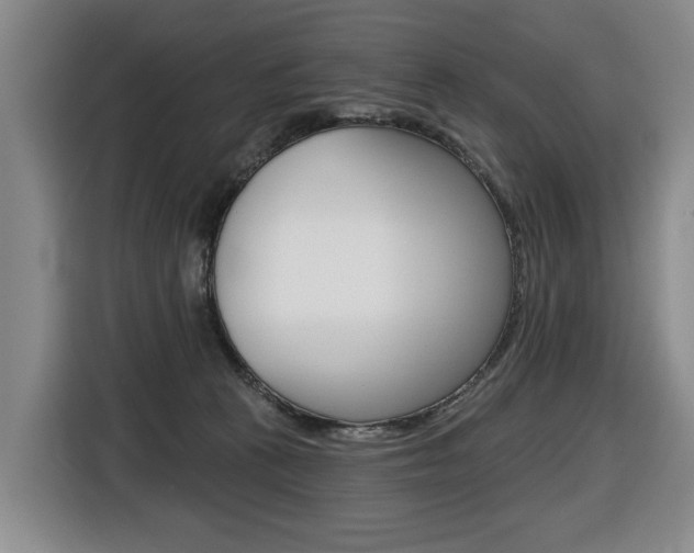 X0000116510273200912090953