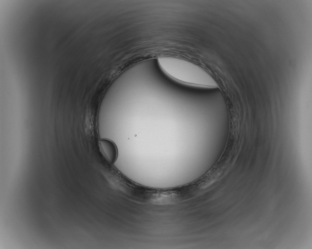 X0000116510274200912090953
