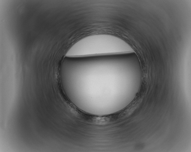 X0000116510277200912090953