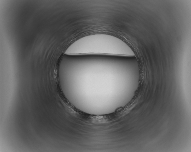 X0000116510281200912090953