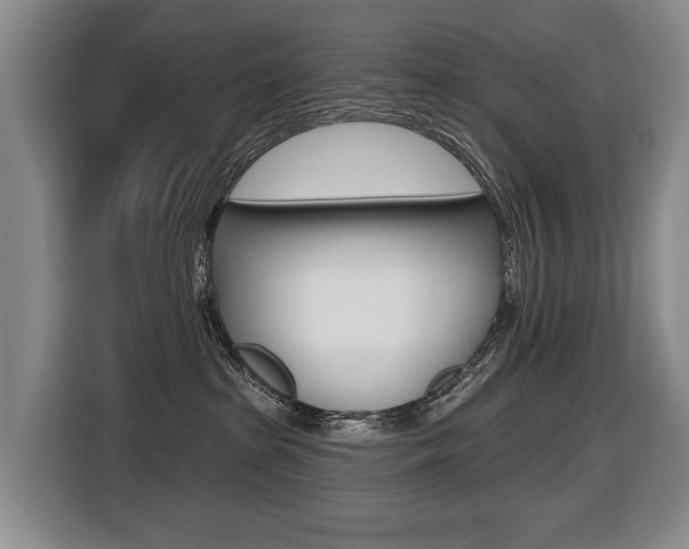 X0000116510285200912090953