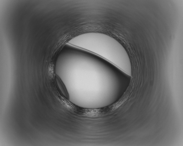 X0000116510288200912090953