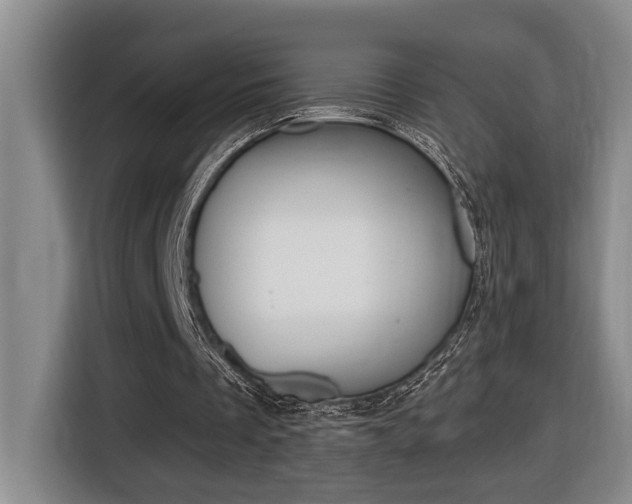 X0000116510289200912090953