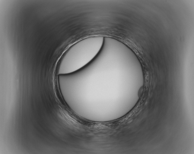 X0000116510290200912090953