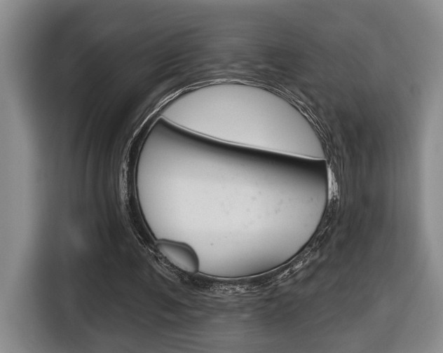 X0000116510291200912090953