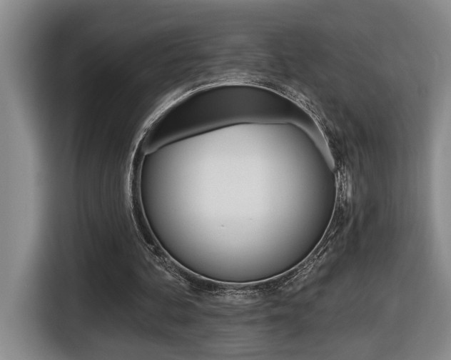 X0000116510292200912090953