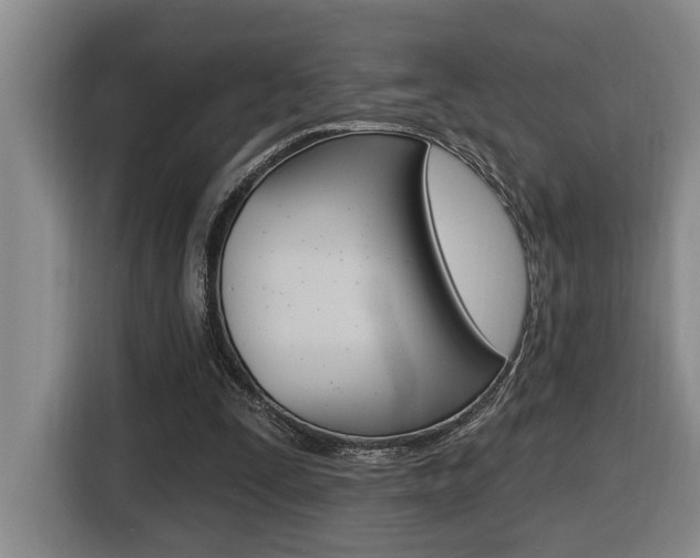 X0000116510295200912090953