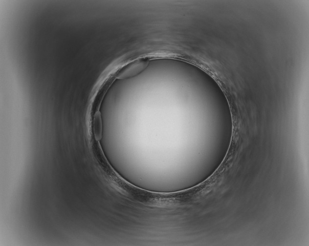 X0000116510296200912090953
