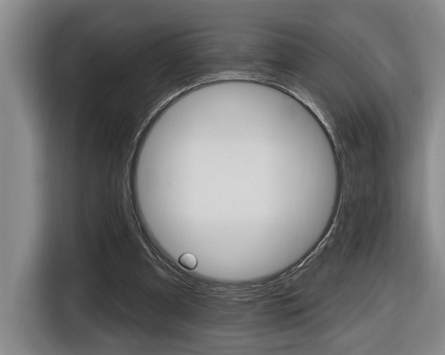 X0000116510297200912090953