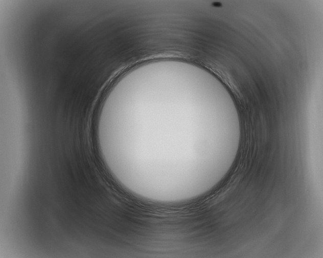 X0000116510300200912090952