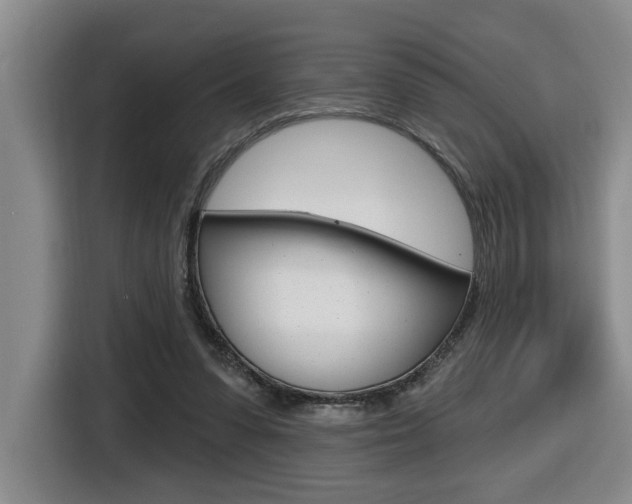 X0000116510303200912090952