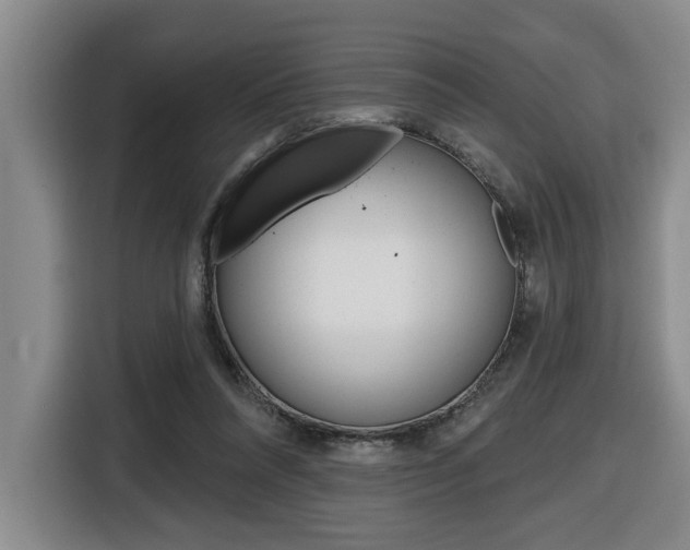 X0000116510304200912090952