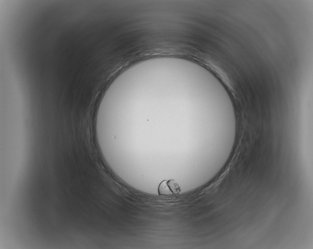 X0000116510305200912090952
