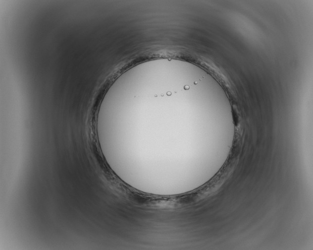 X0000116510306200912090952