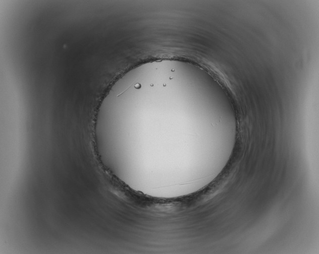 X0000116510307200912090952