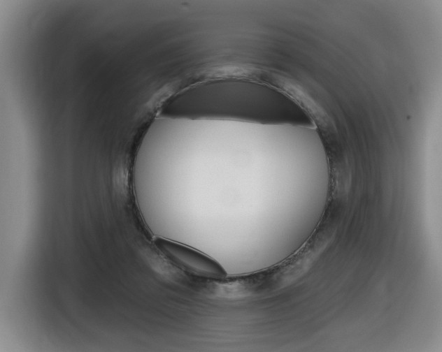 X0000116510309200912090952
