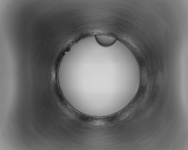 X0000116510310200912090952