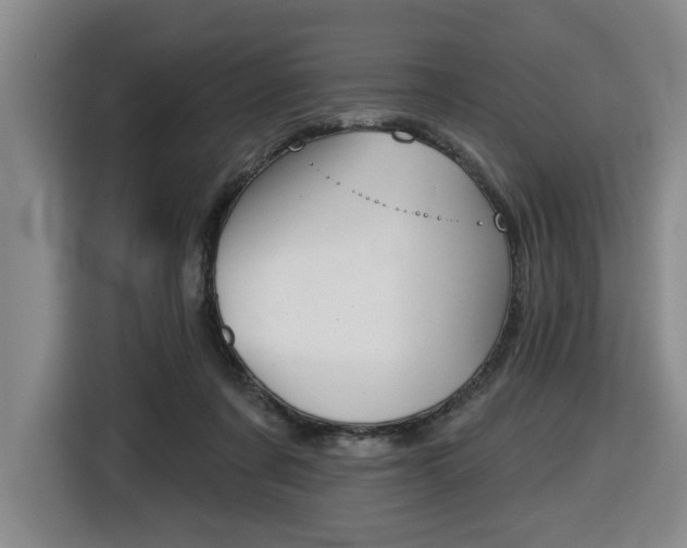 X0000116510311200912090952