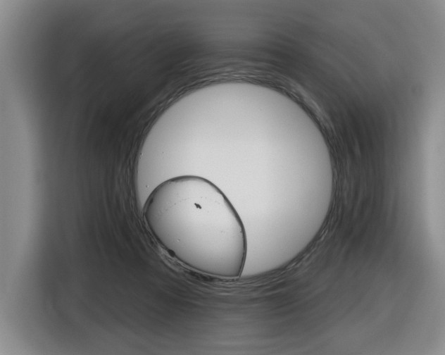 X0000116510313200912090952