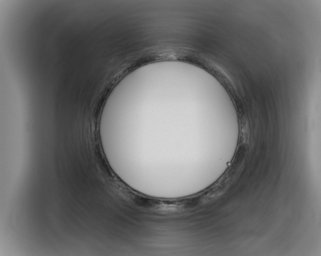 X0000116510314200912090952