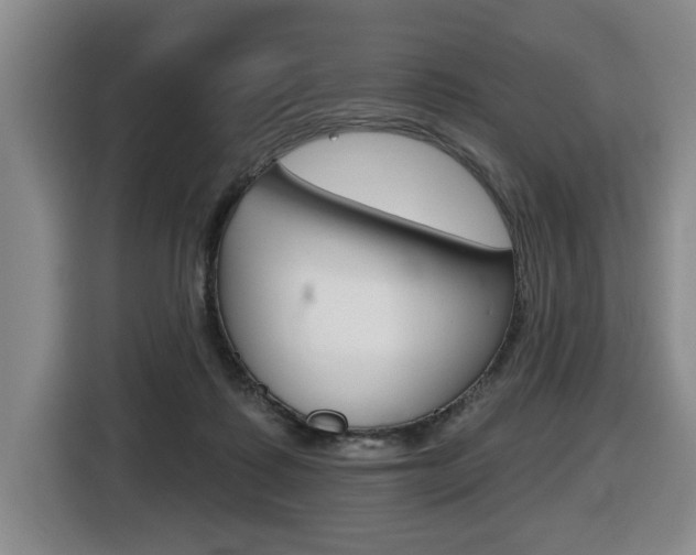 X0000116510315200912090952