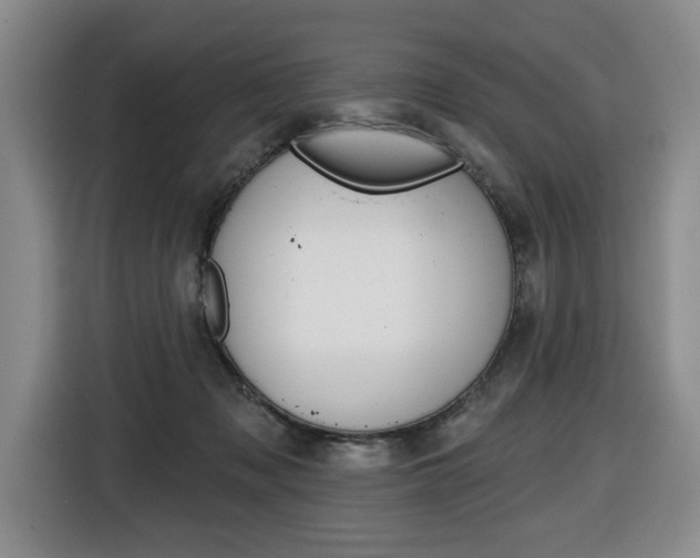 X0000116510317200912090952