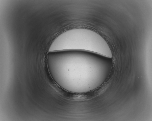 X0000116510319200912090952