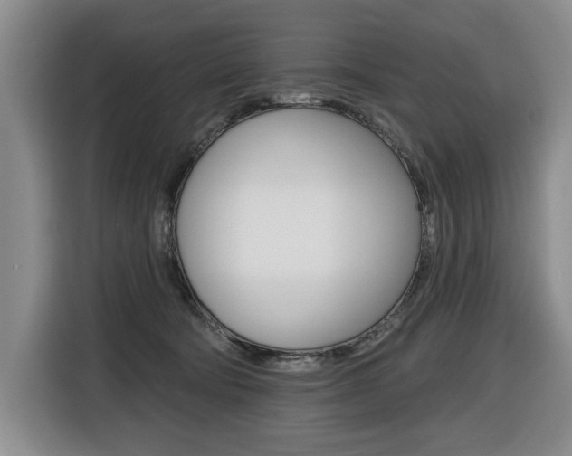 X0000116510322200912090952