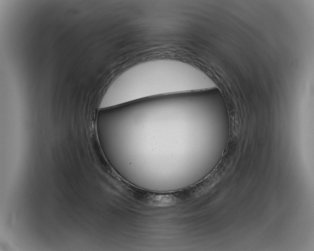 X0000116510324200912090952