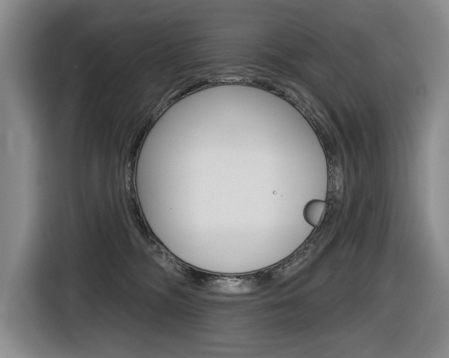 X0000116510326200912090952