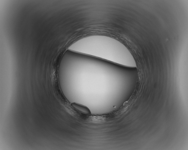 X0000116510327200912090952