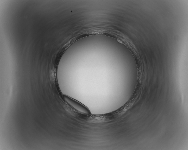 X0000116510329200912090952