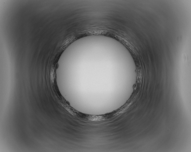X0000116510334200912090952
