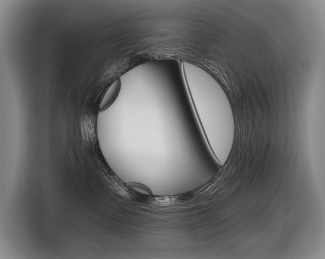 X0000116510335200912090952