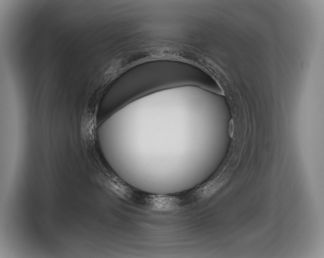 X0000116510336200912090952