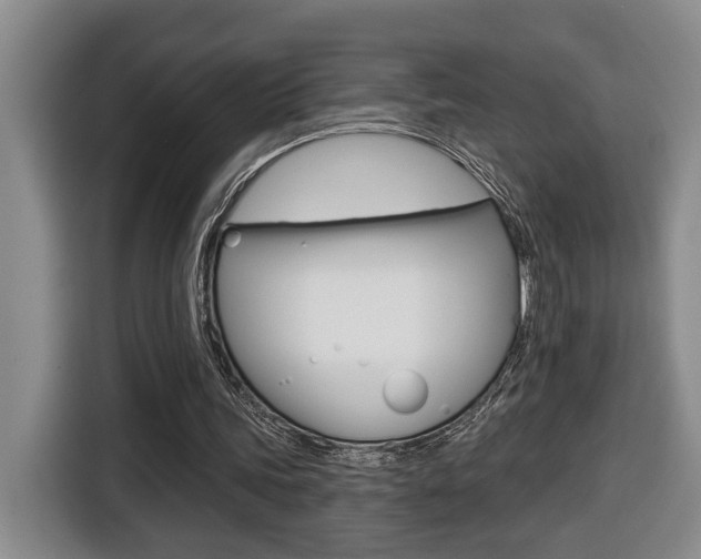 X0000116510339200912090951