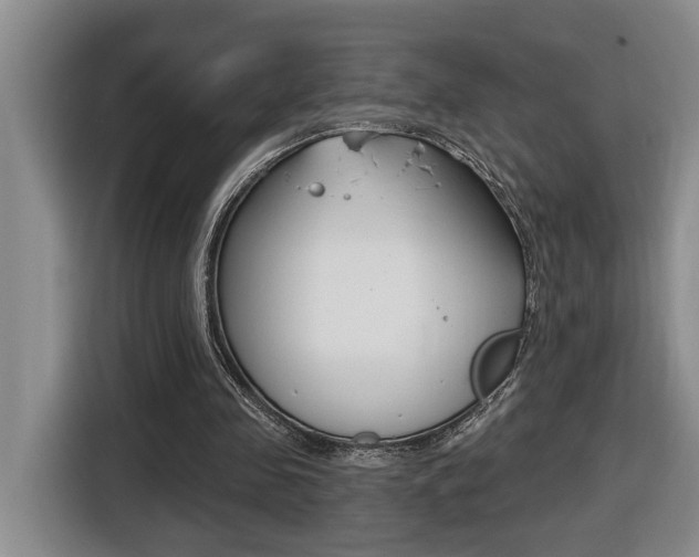 X0000116510341200912090951