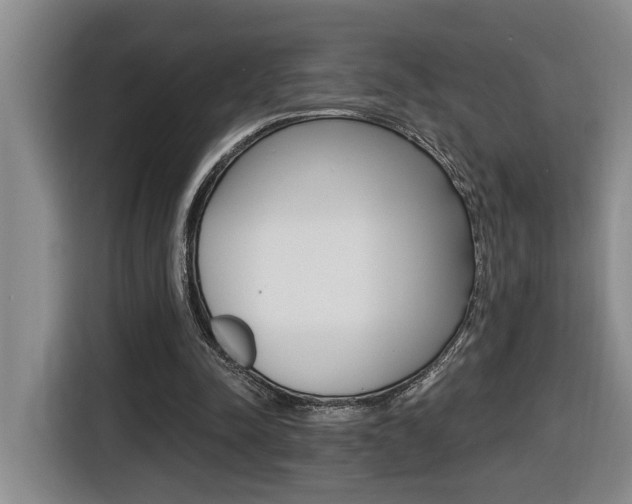 X0000116510342200912090951