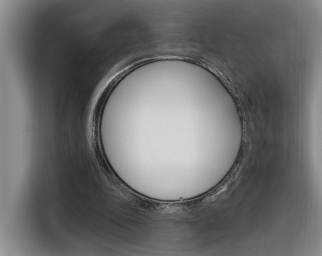 X0000116510343200912090951