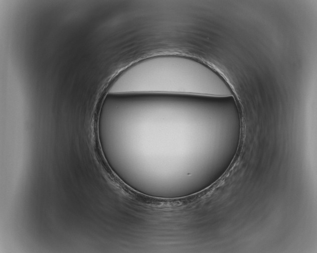 X0000116510345200912090952